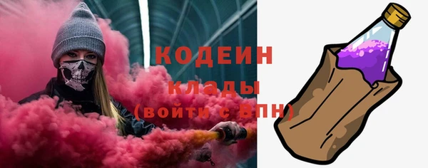скорость Ельня