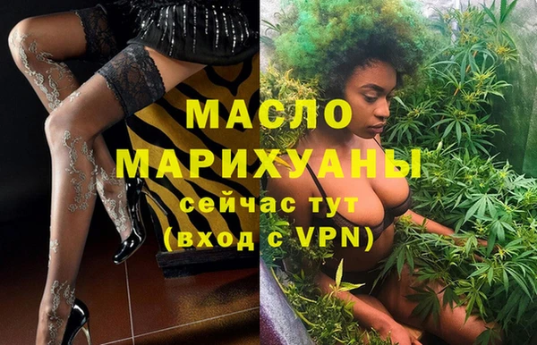 скорость Ельня