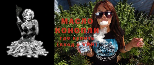 скорость Ельня
