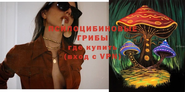 скорость Ельня