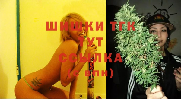 скорость Ельня